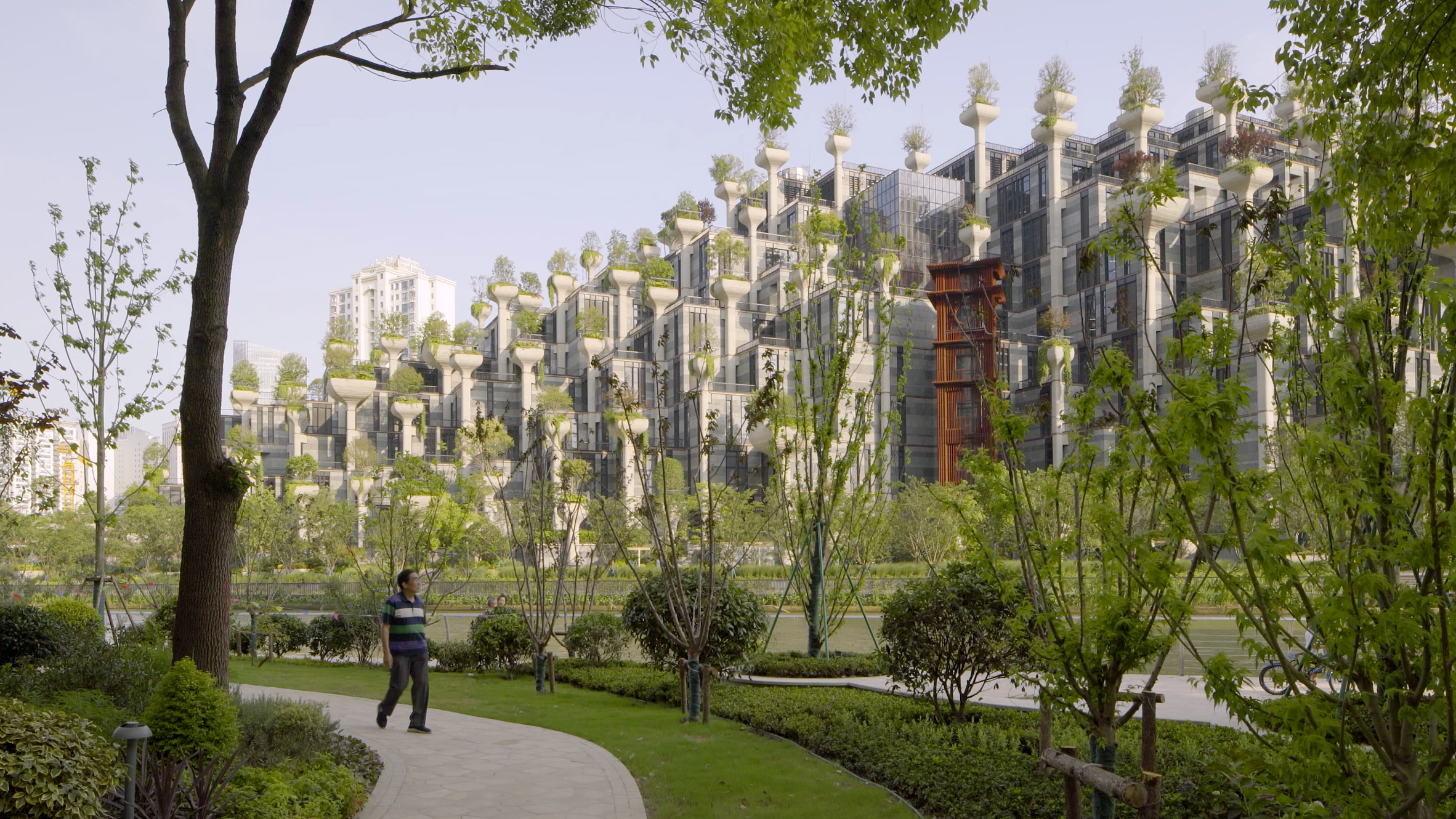 Проект 1000 деревьев Китай