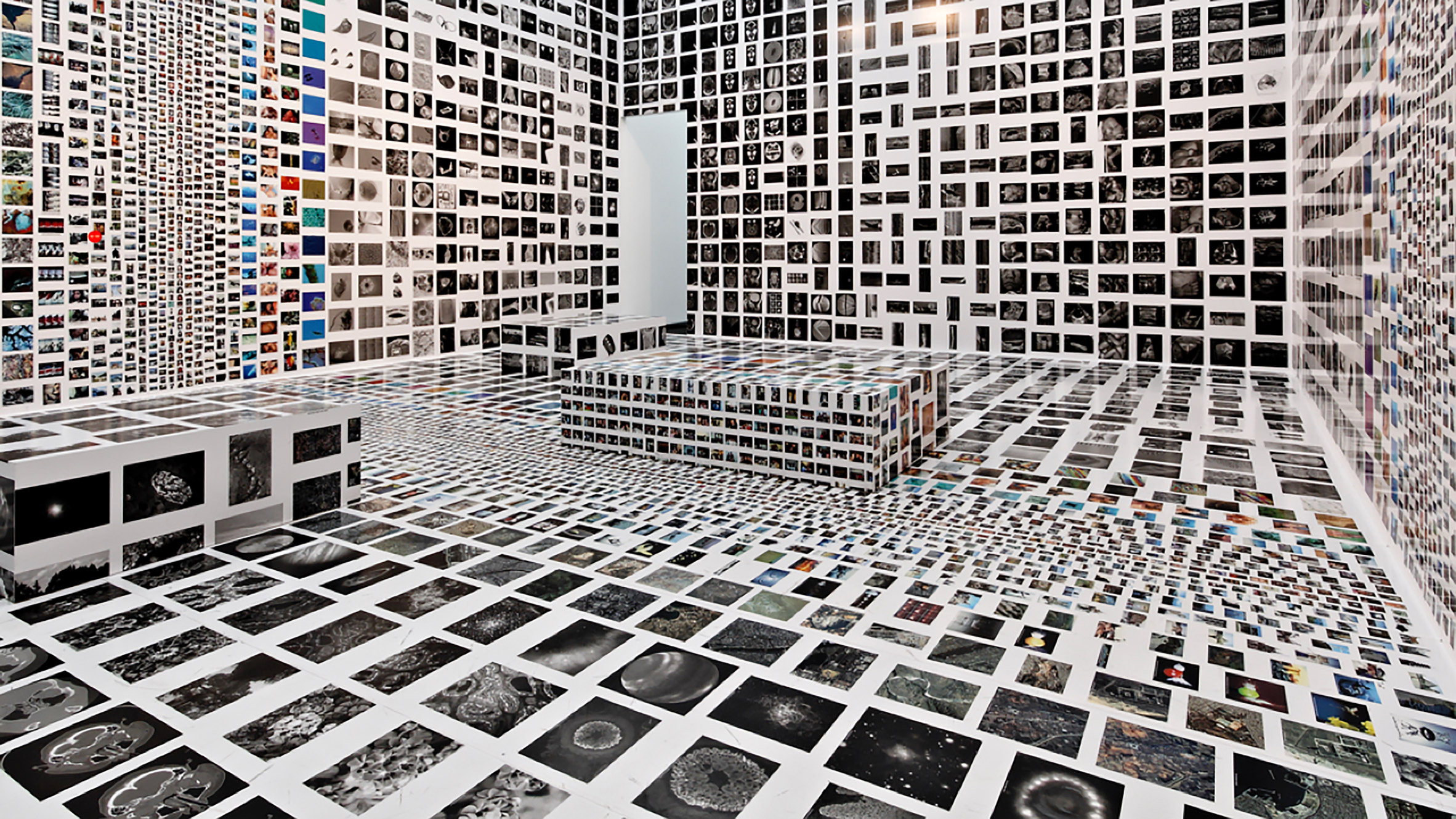 A photograph of MCN's installation showcasing hundreds of photographs