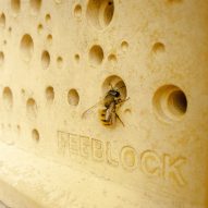 This week Brighton mandated bee bricks for new buildings