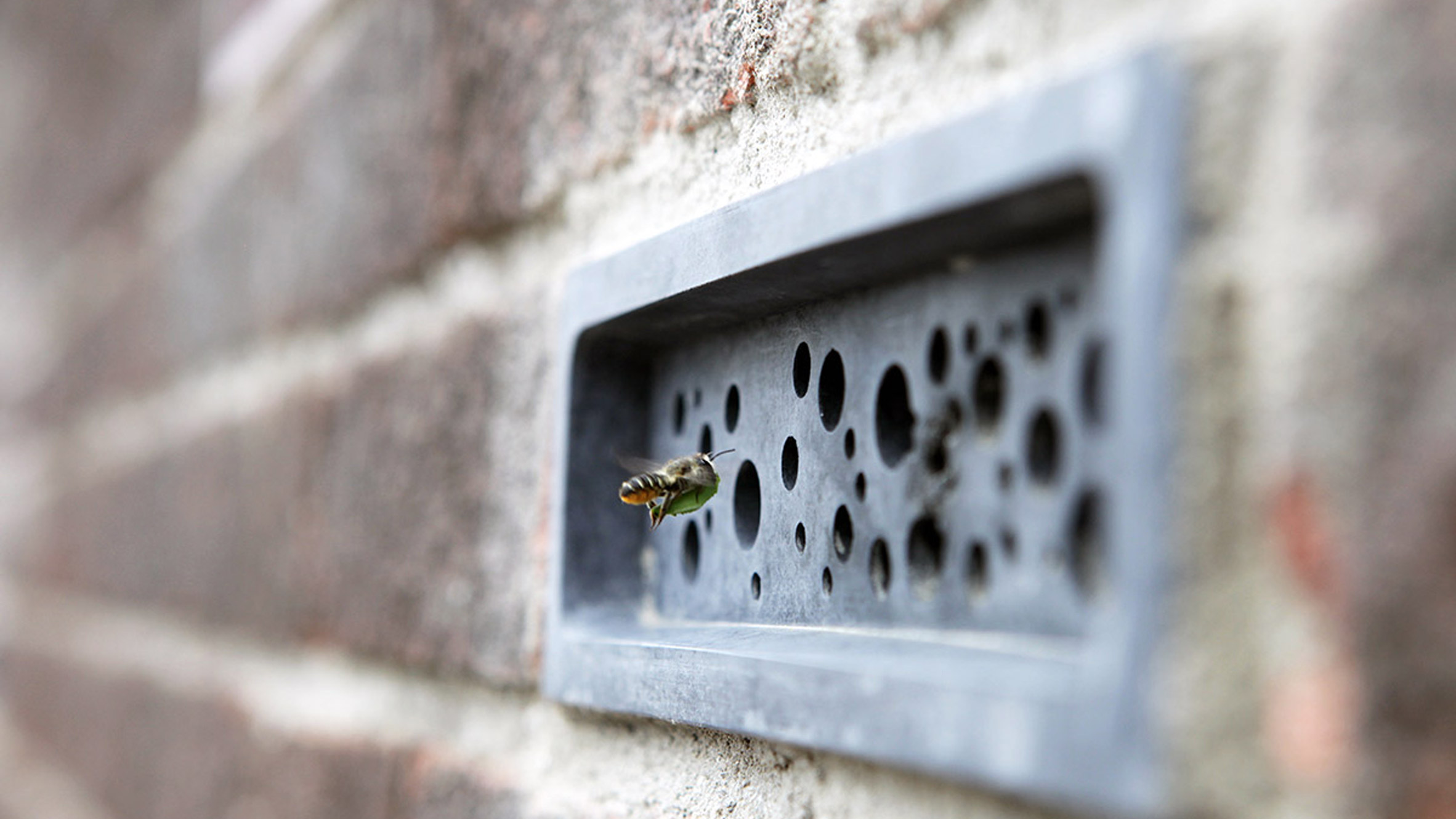 Bee flying into concrete Bee Brick by Green&amp;Blue