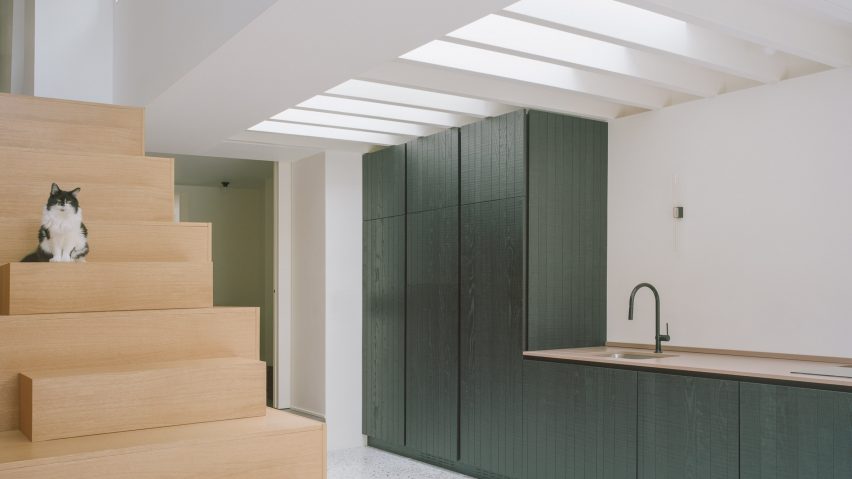 Staircase, kitchen and cat in Farleigh Road renovation and extension by Paolo Cossu Architects