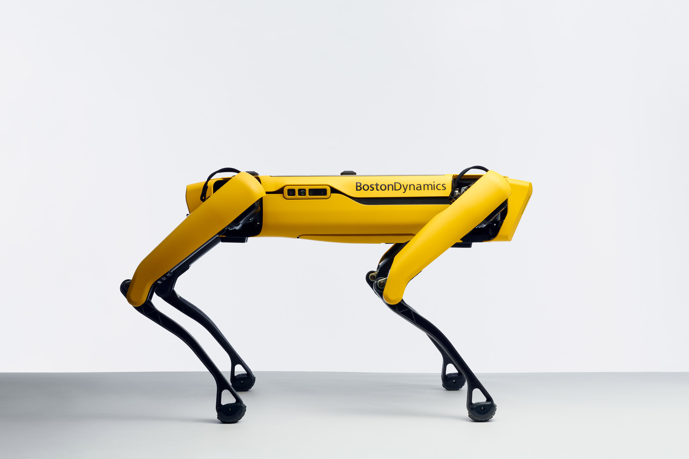 Yellow four-limbed Spot robot by Boston Dynamics