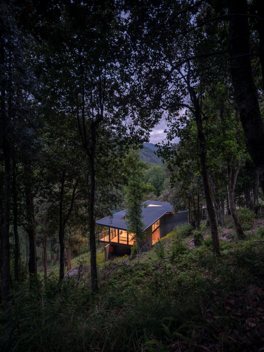 A house hidden in a dense forest