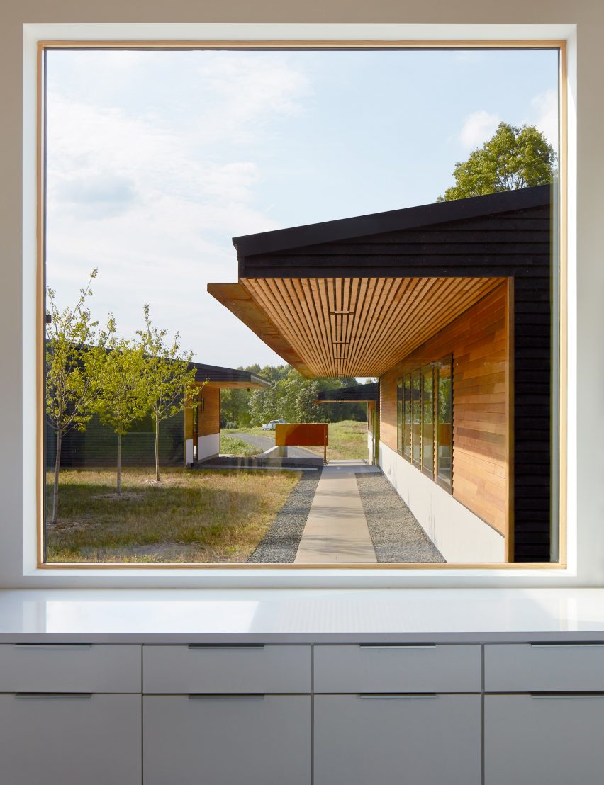 Windows frame different views across the house 