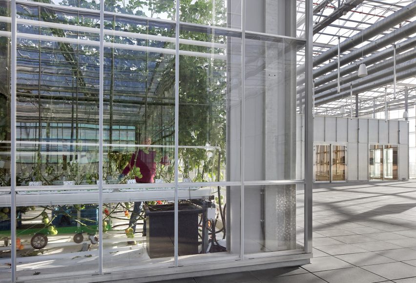 Glass and steel boxes within the Agrotopia greenhouse separating growing from education and research functions