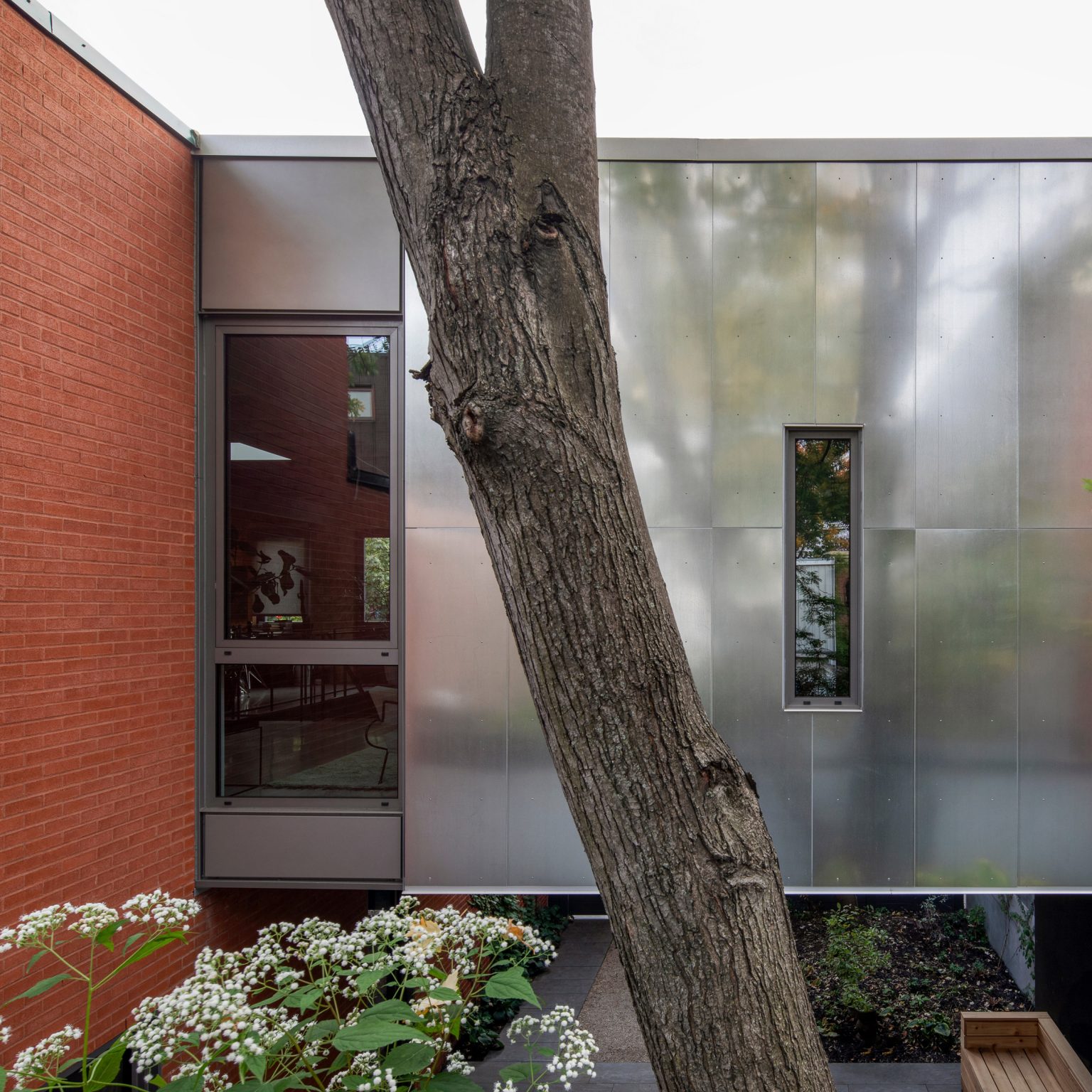 Architecture Microclimat Builds Minimal House In Traditional Montreal Neighbourhood 