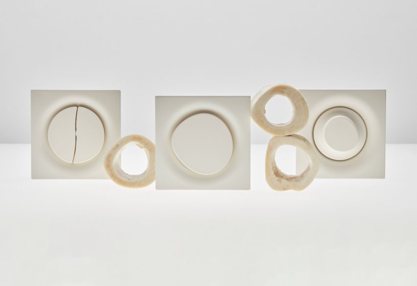 Three organically shaped light switches by Souhaïb Ghanmi next to cross-sectioned bones 