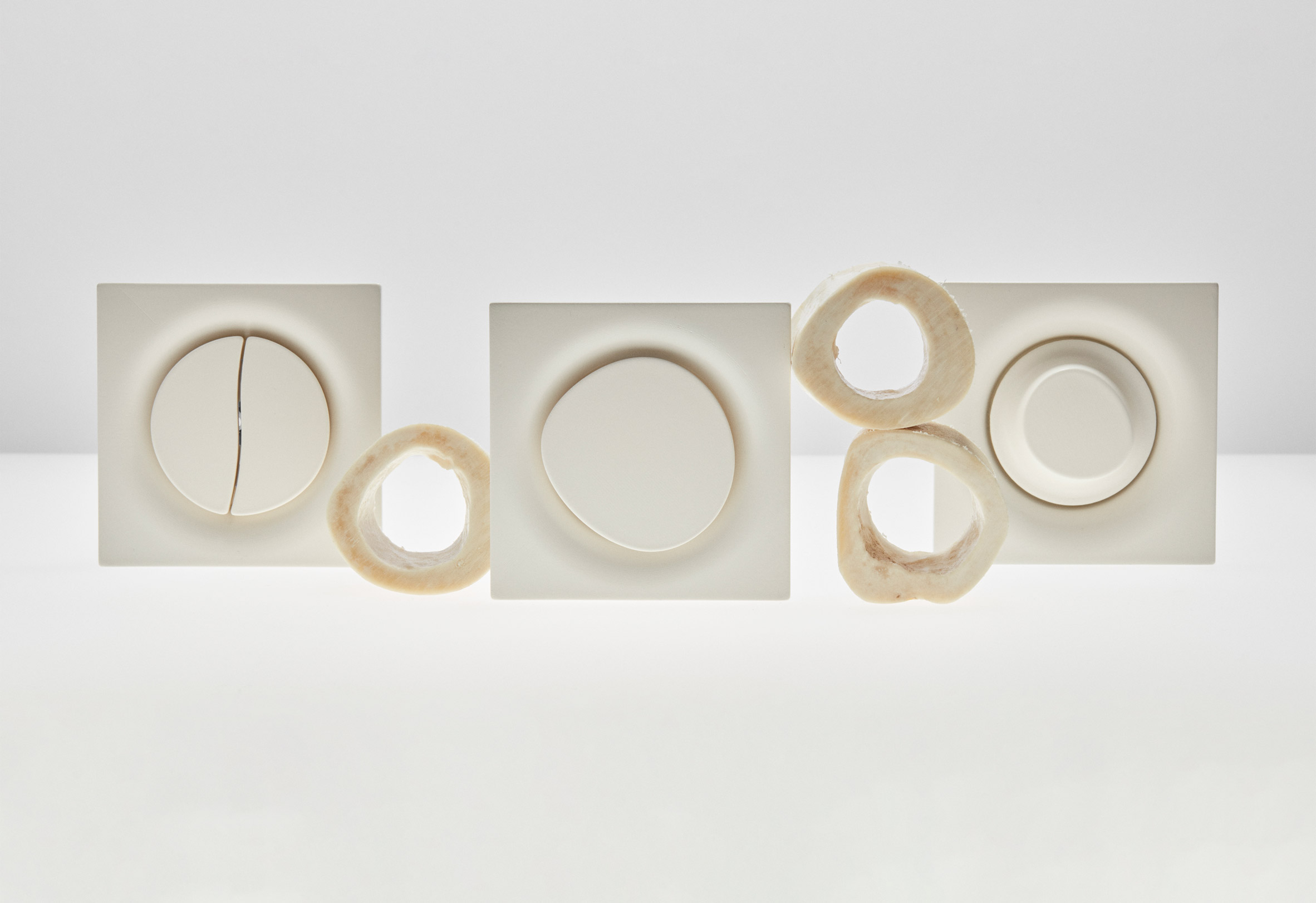 Three organically shaped light switches by Souhaïb Ghanmi next to cross-sectioned bones 
