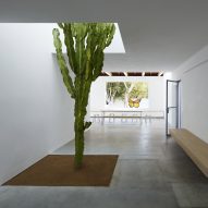 David Saik gives Emeco a cactus-filled Californian brand home