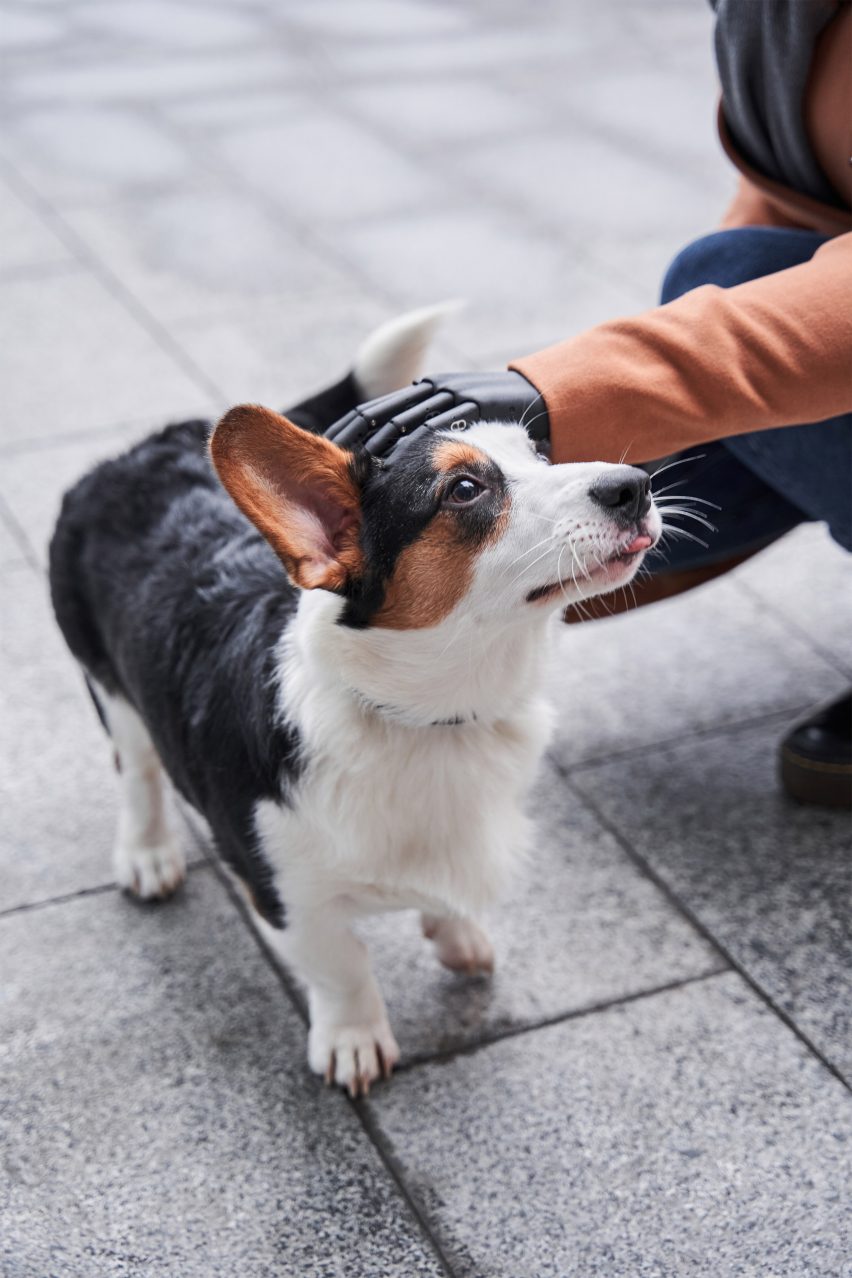 A prosthetic arm patting a dog