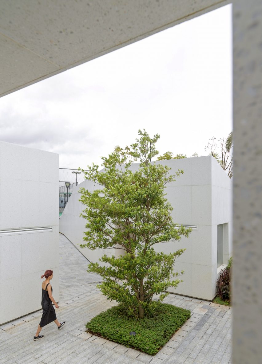 A tree is at the centre of the courtyard