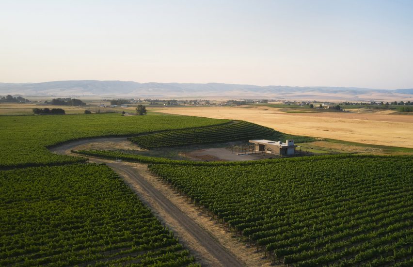Winery with vineyards aerial
