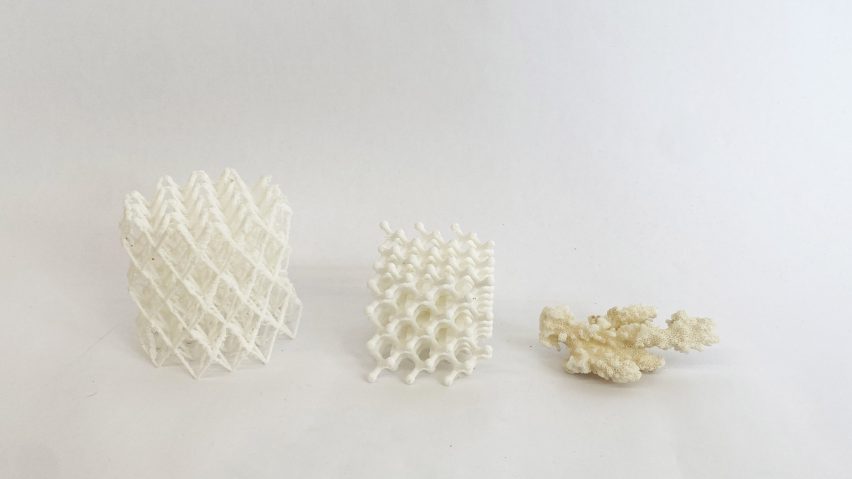 Complex foam constructions by Doppelgänger next to piece of coral