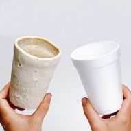 Doppelgänger creates polystyrene substitute from plastic-eating mealworms