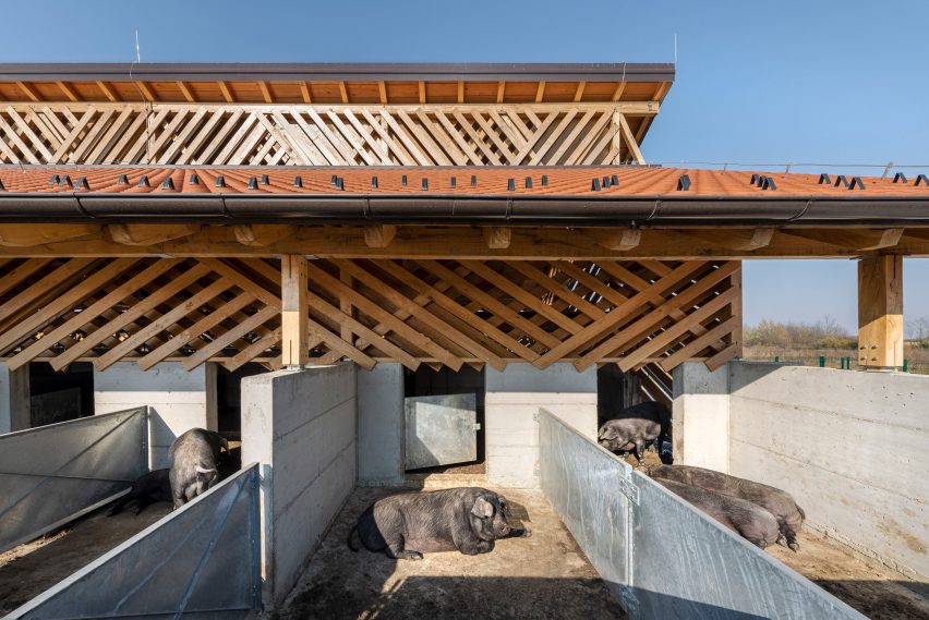 Crisscrossing wood facade on pig stable in eco farm