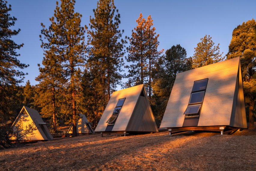 A-frame cabins in forest at sunset