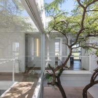 Baldio Arquitectura designs Córdoba row house around existing carob tree