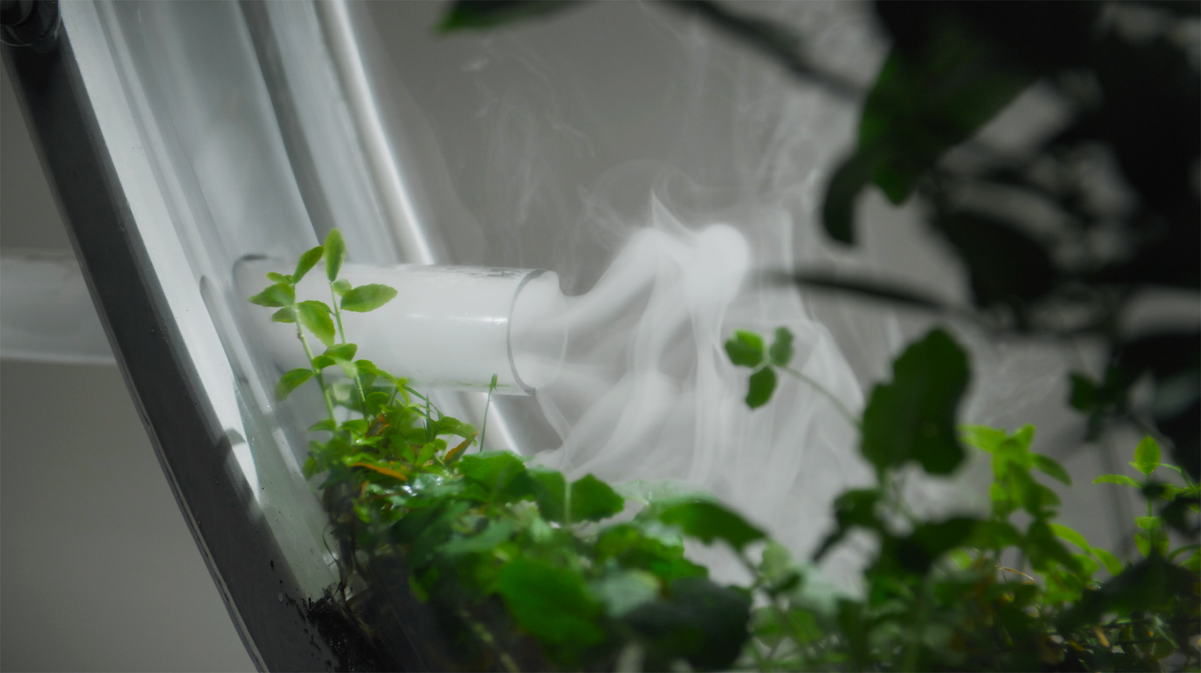 CO2 being funnelled into terrarium