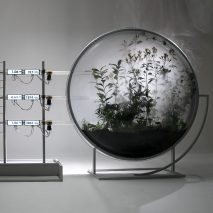 MB>CO2 installation with spherical terrarium by Thijs Biersteker