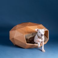 Foster + Partners creates geodesic dog kennel as "architecture in miniature"
