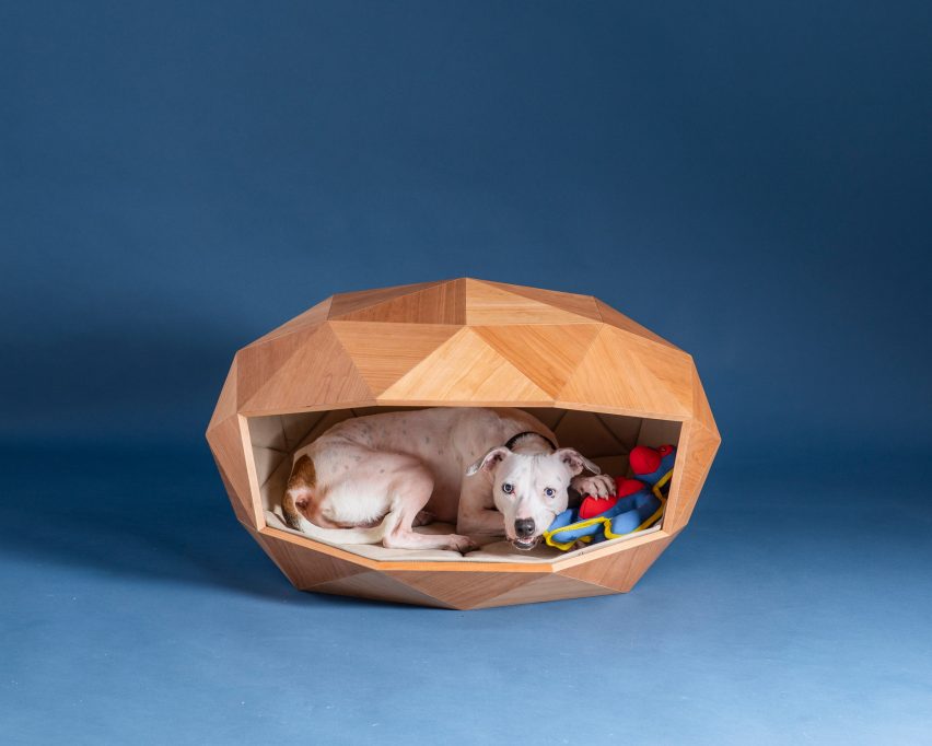 Image of a dog resting in the Dome-Home dog kennel