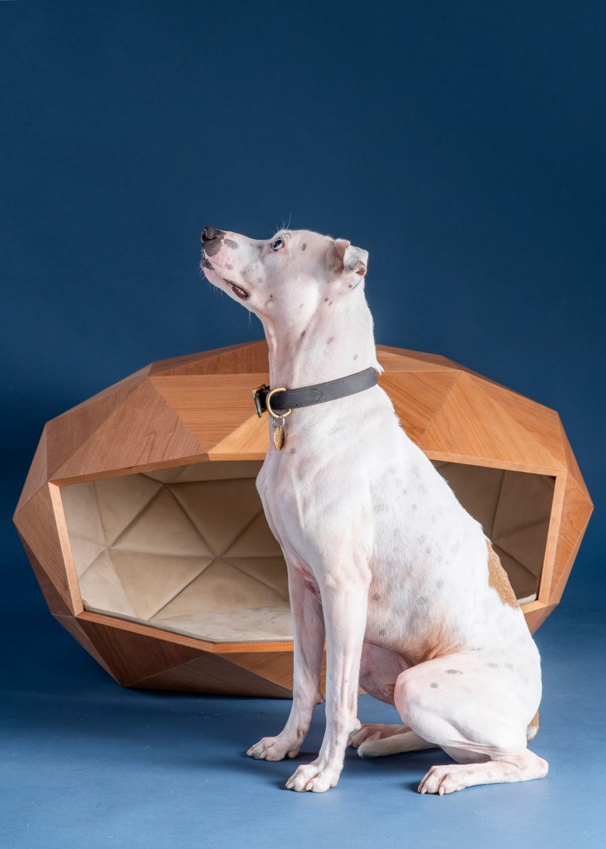 A dog is shown sitting outside the domed kennel