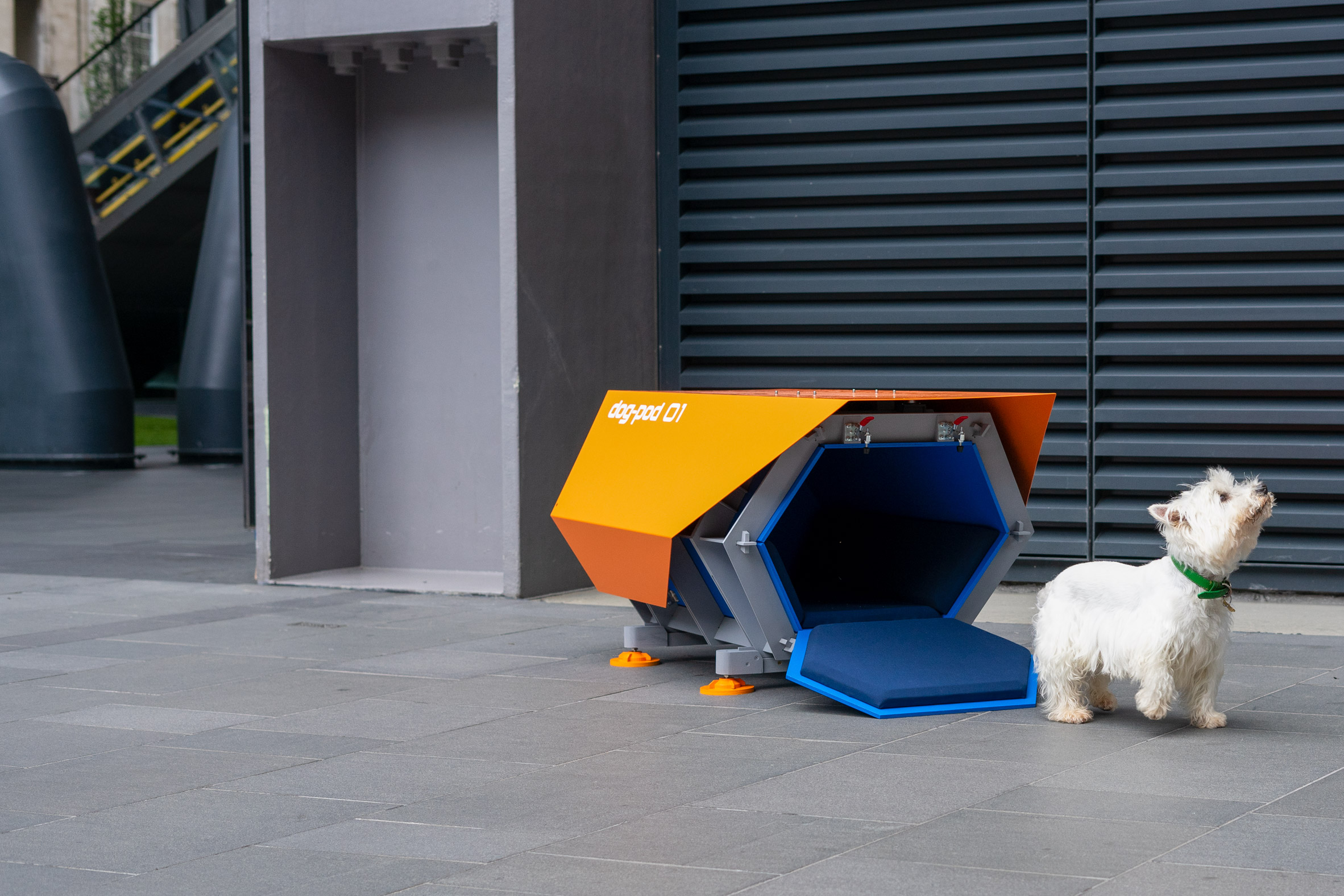 A dog is pictured beside the blue and orange dog kennel