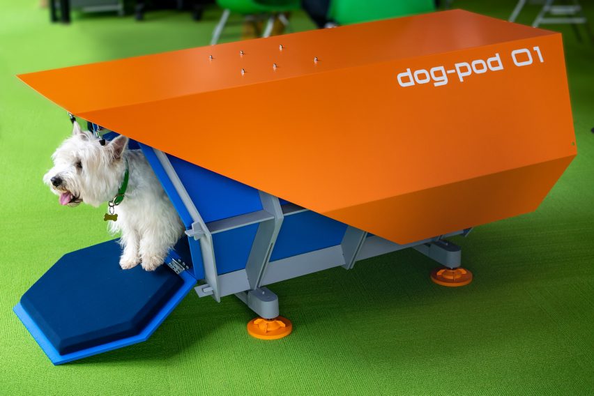 Image of a white dog inside the orange and blue Dog Pod