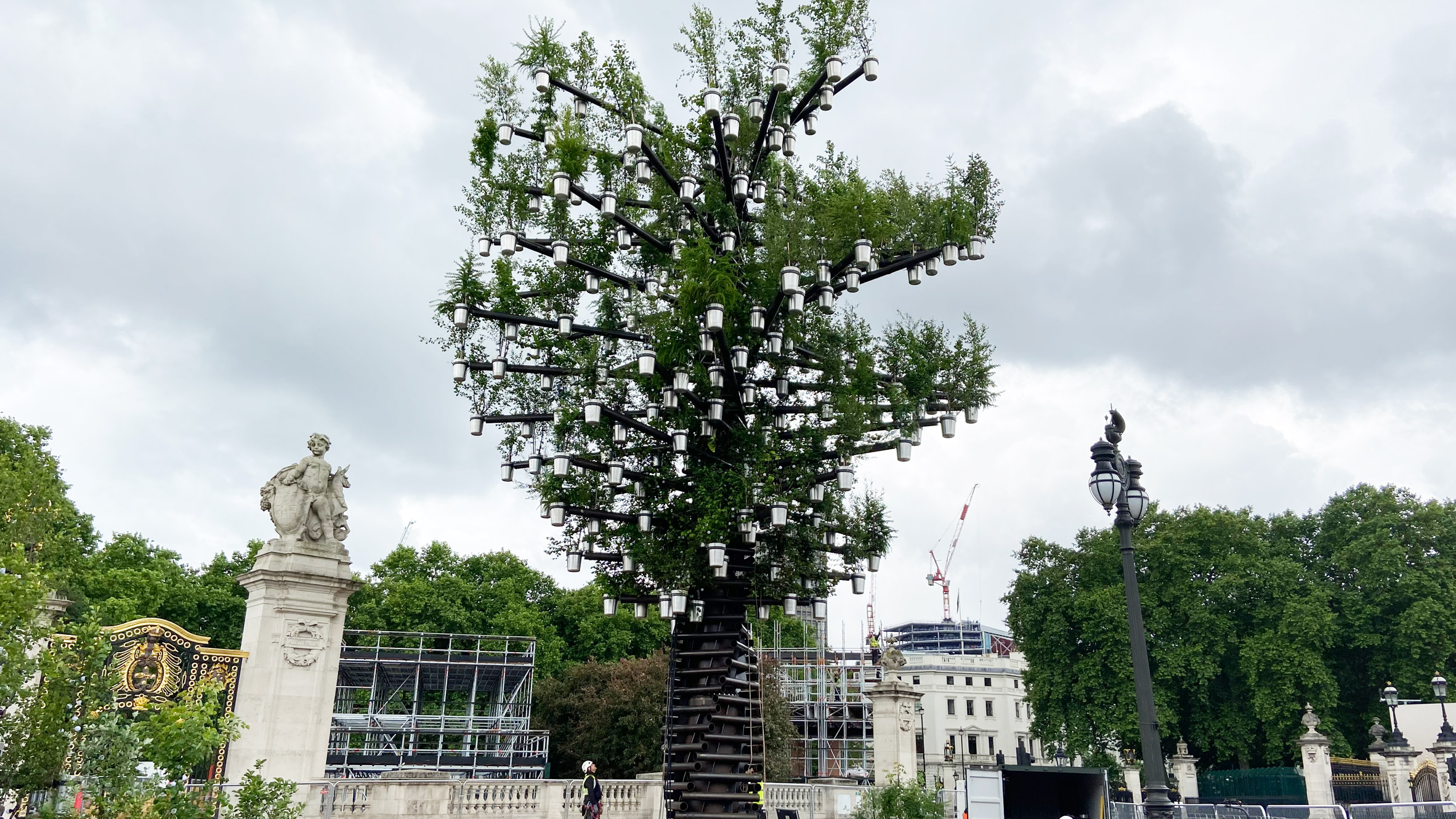Heatherwick's Tree of Trees at Buckingham Palace