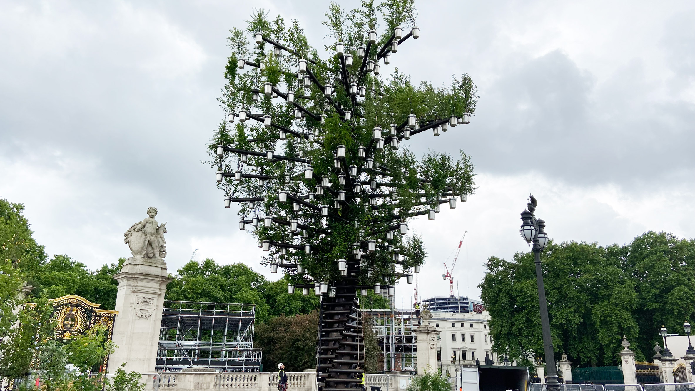 Three Warwickshire groups receive special trees from Platinum