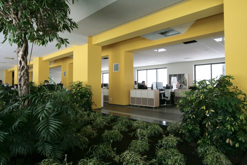 A photograph of ACCA Software's computer room filled with plants