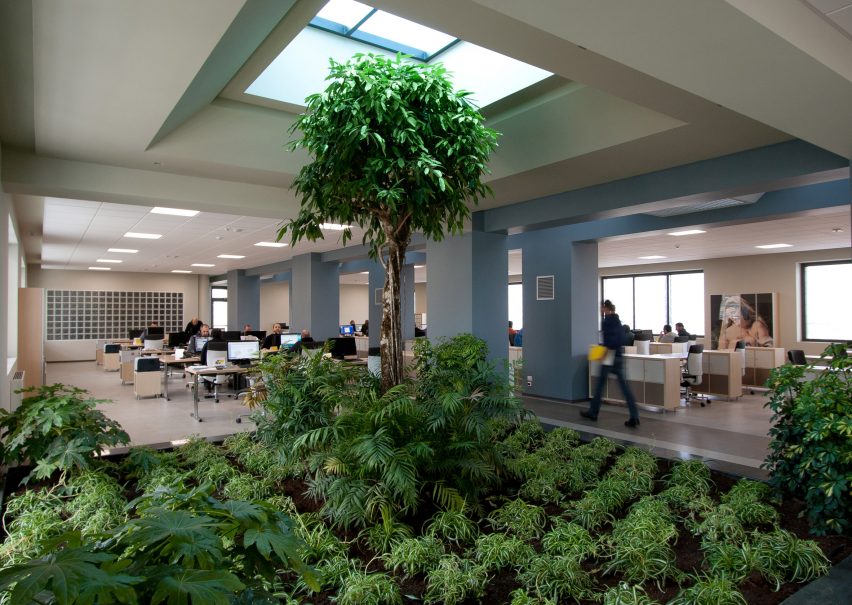 ACCA Software's plant-filled headquarters