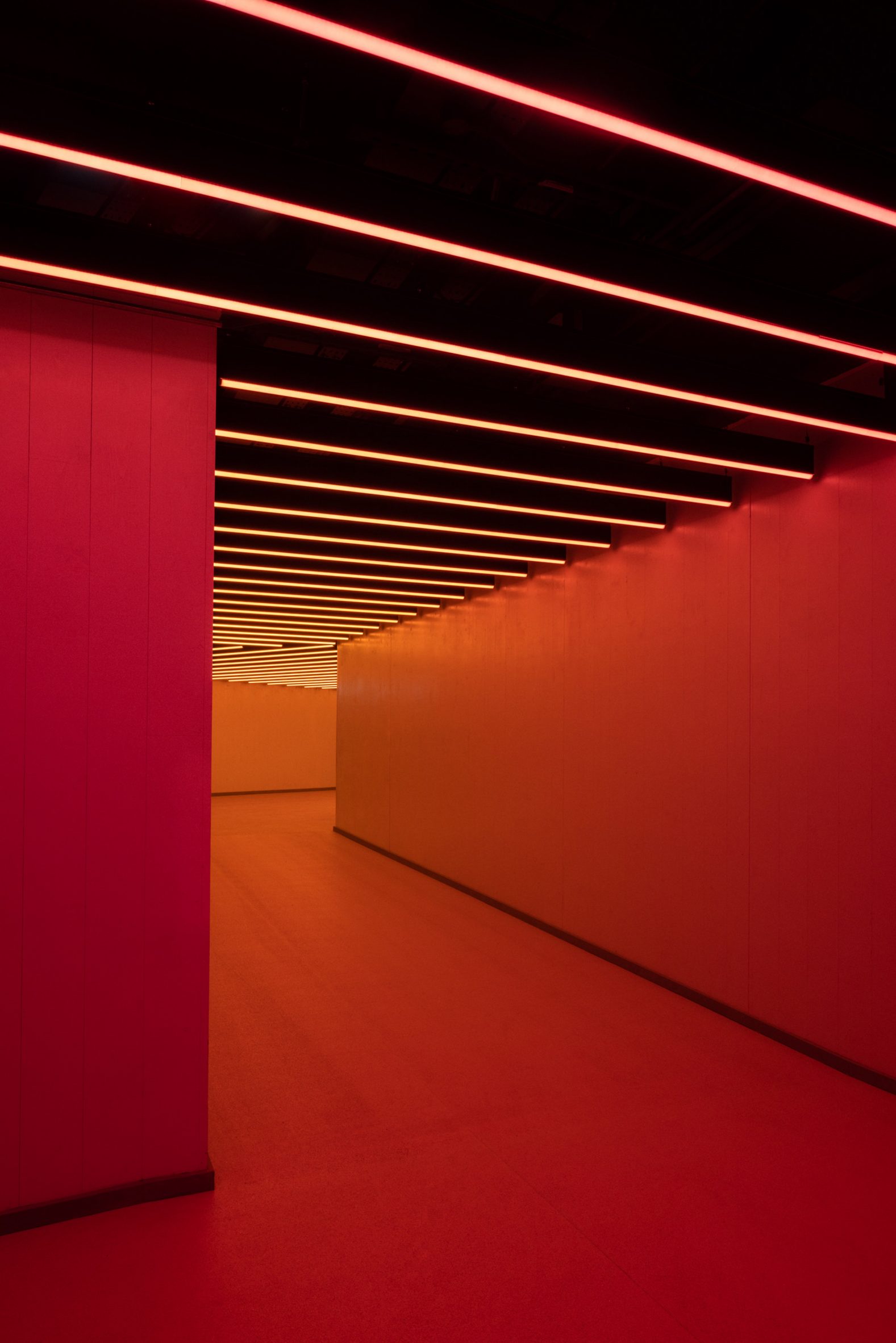 Imagen interior de un corredor rojo en el ABBA Arena