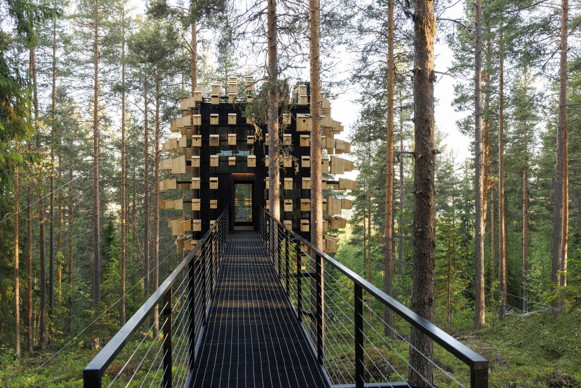 Treehouse hotel accessed by a bridge