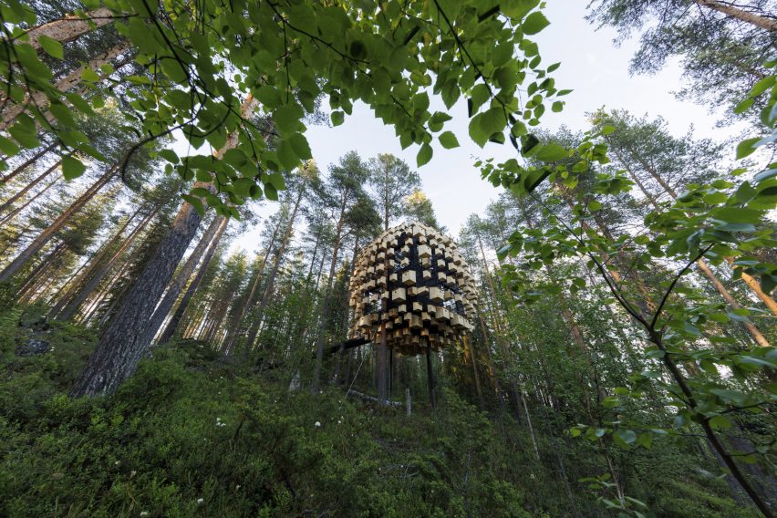 Биосферный домик на дереве в отеле Treehotel