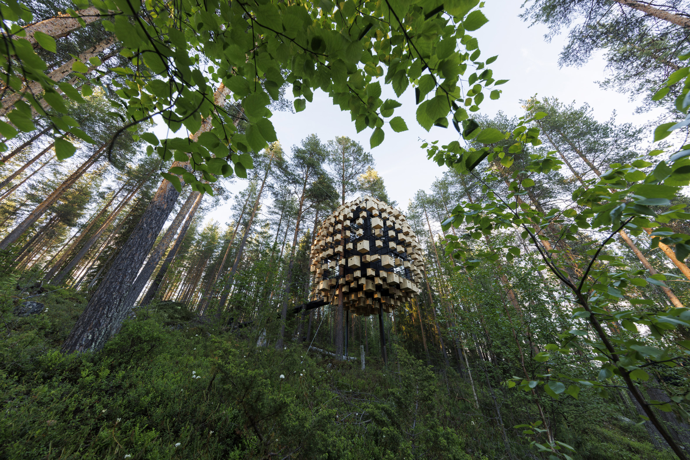 Biosphere treehouse at the Treehotel