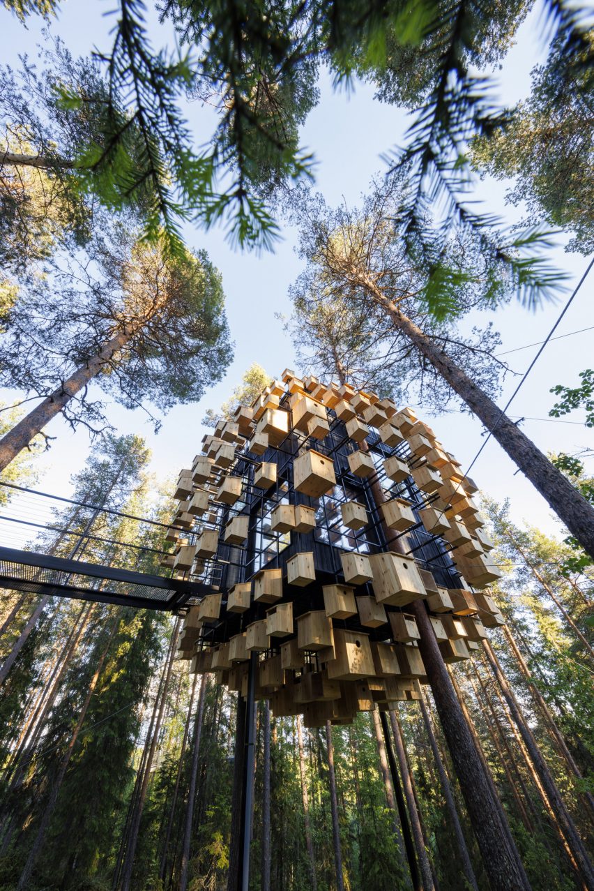 Биосферный домик на дереве в отеле Treehotel