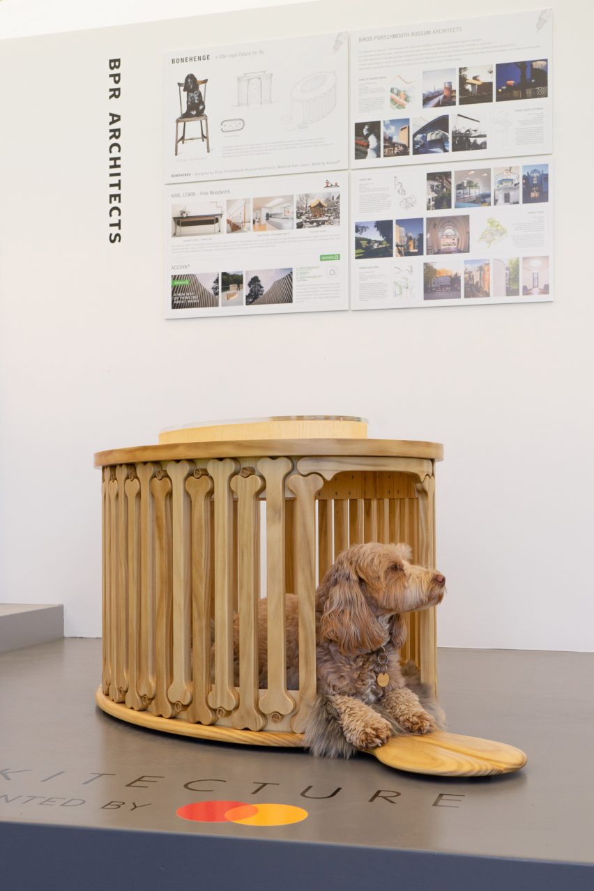 Image of a dog in the Bonehenge kennel