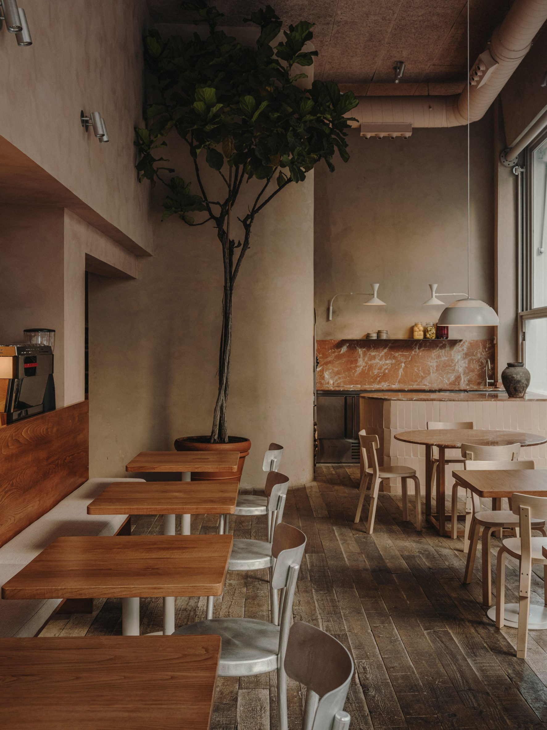 Seating area of a Madrid restaurant by Plantea Estudio with a fig tree and wood and aluminium furniture