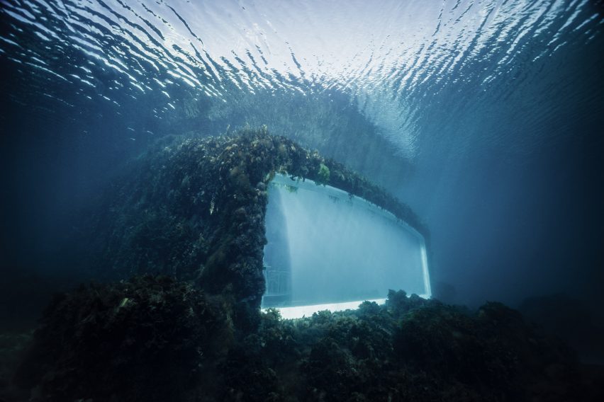 View into Under from underwater