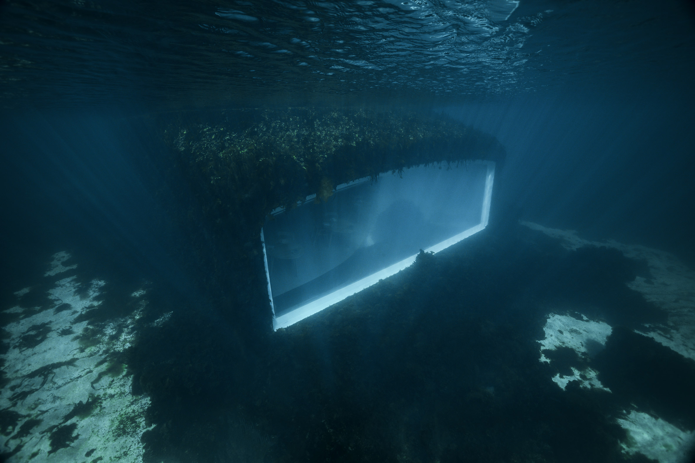 Image of Snøhetta's Under restaurant covered in marine life