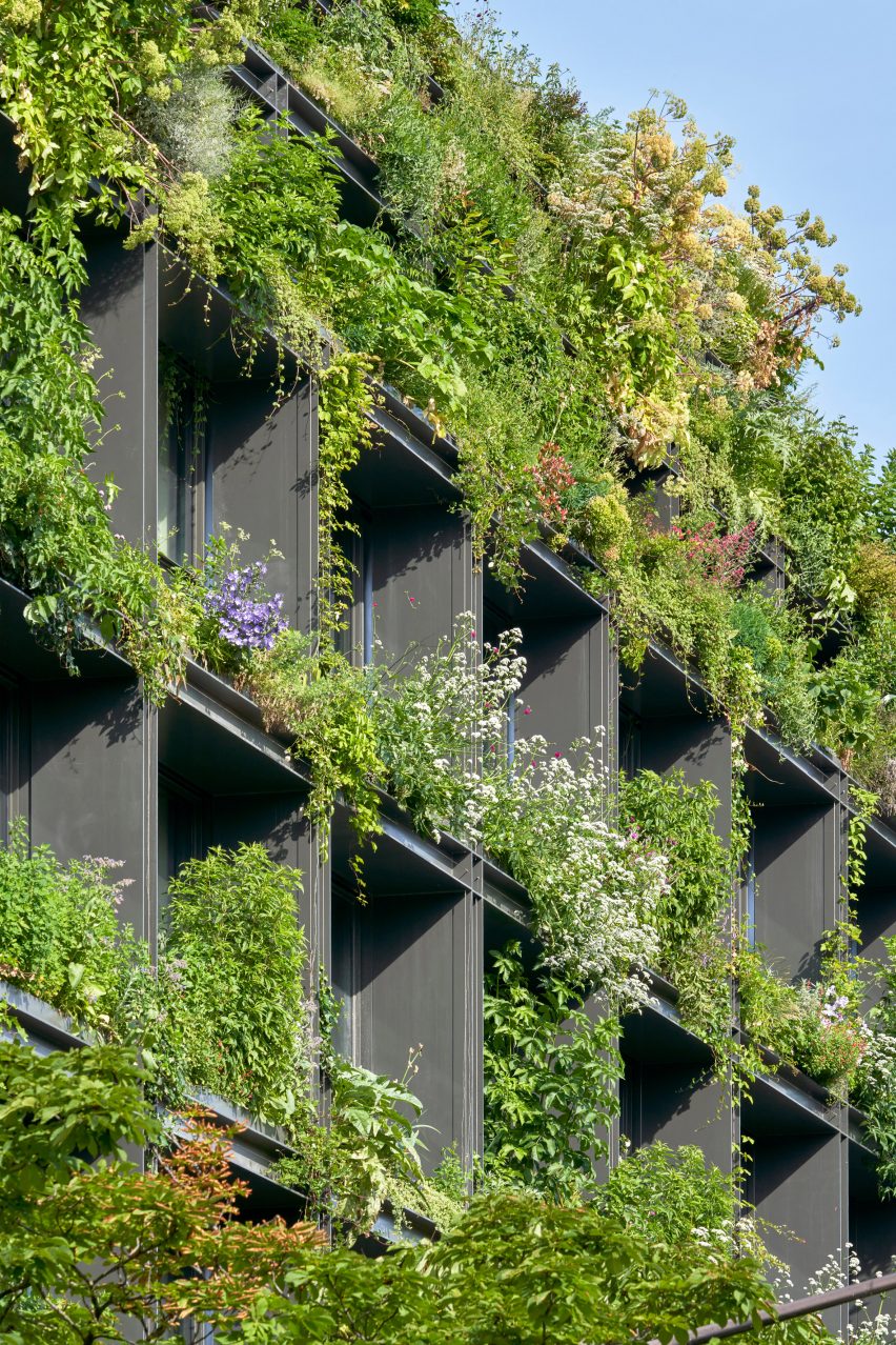 Vertical garden in Paris