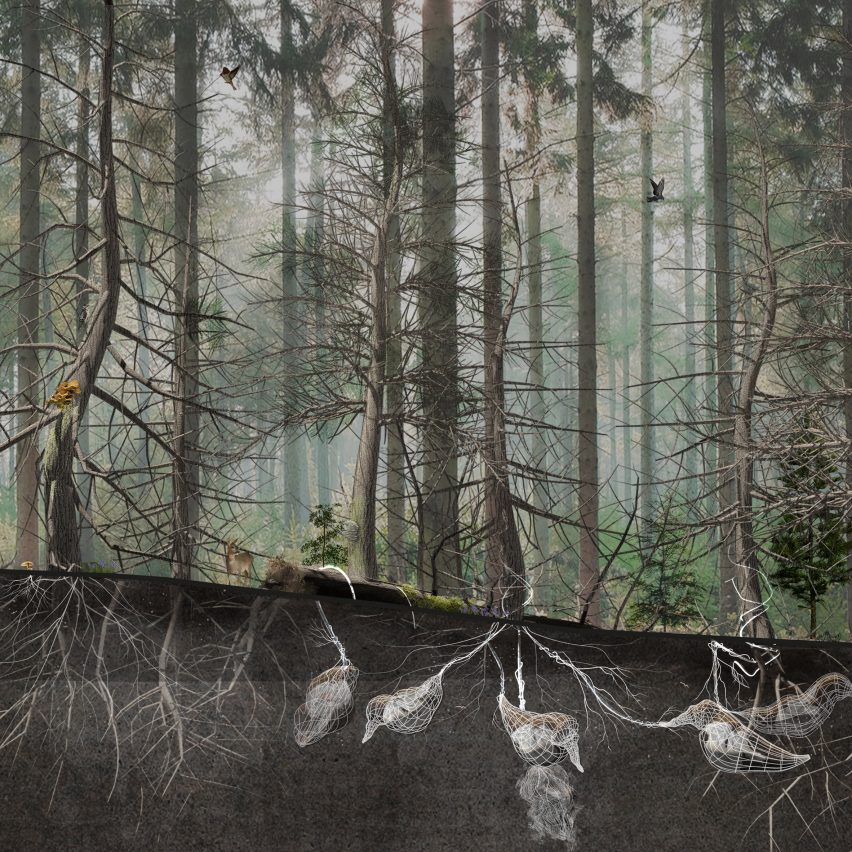 A digital illustration of trees with burial pods in the earth