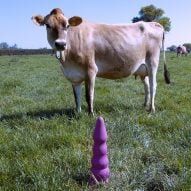 Ece Tan designs sex toys for cows to make farming practices more pleasurable