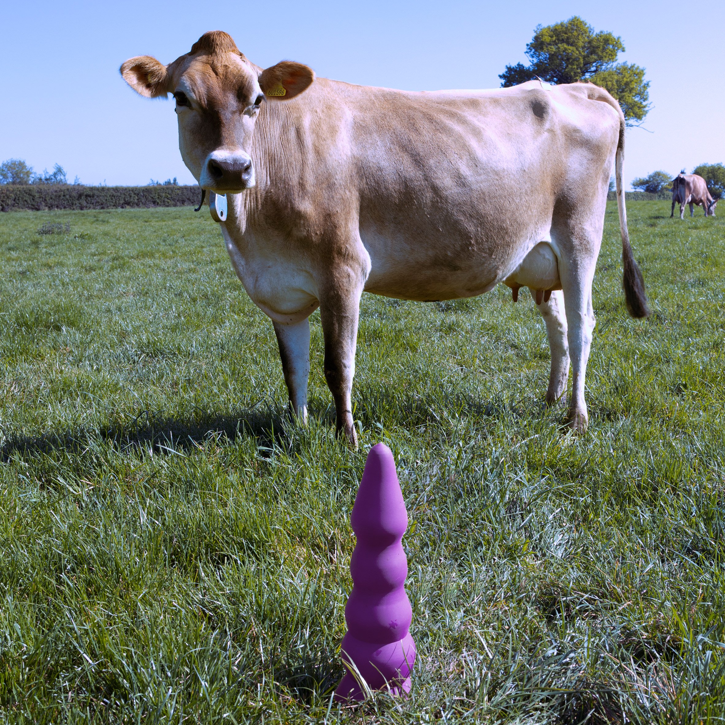 Ece Tan designs sex toys for cows to make farming practices more pleasurable pic pic