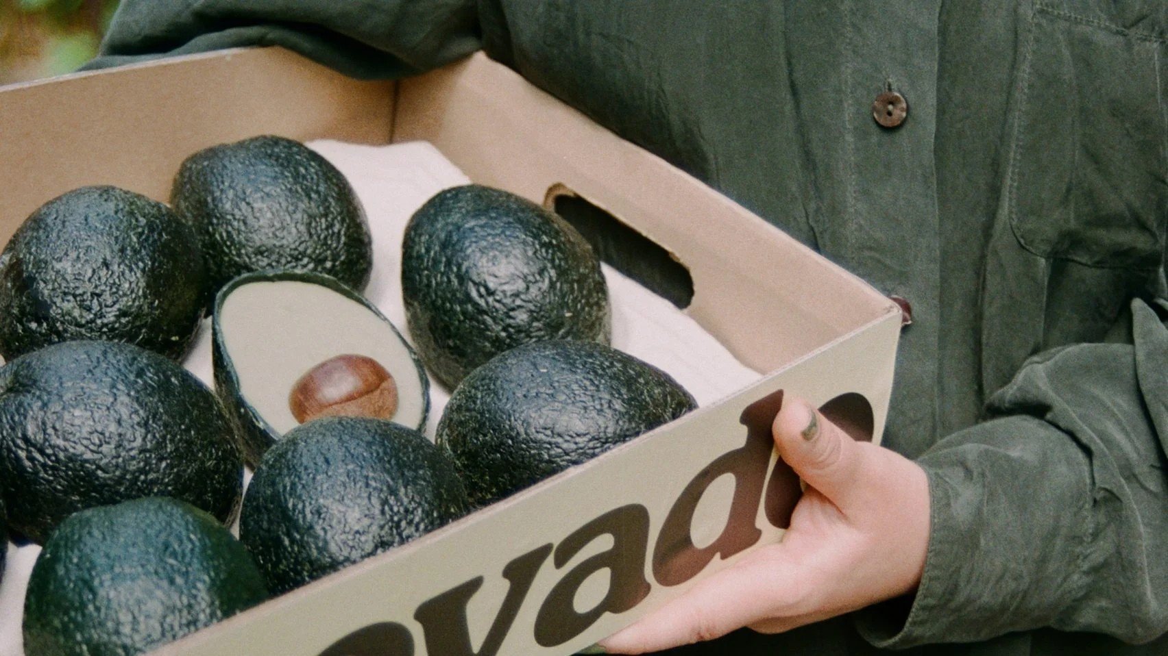A low-impact alternative to "unsustainable" avocados features in today's Dezeen Agenda newsletter