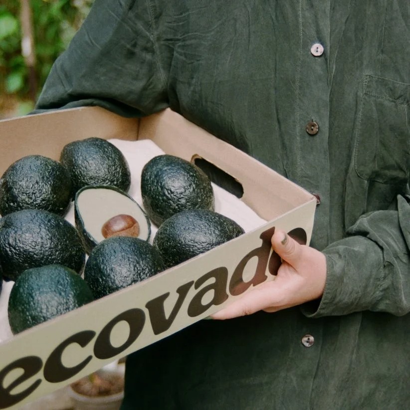 British-made Ecovado offers low-impact alternative to "unsustainable" avocados