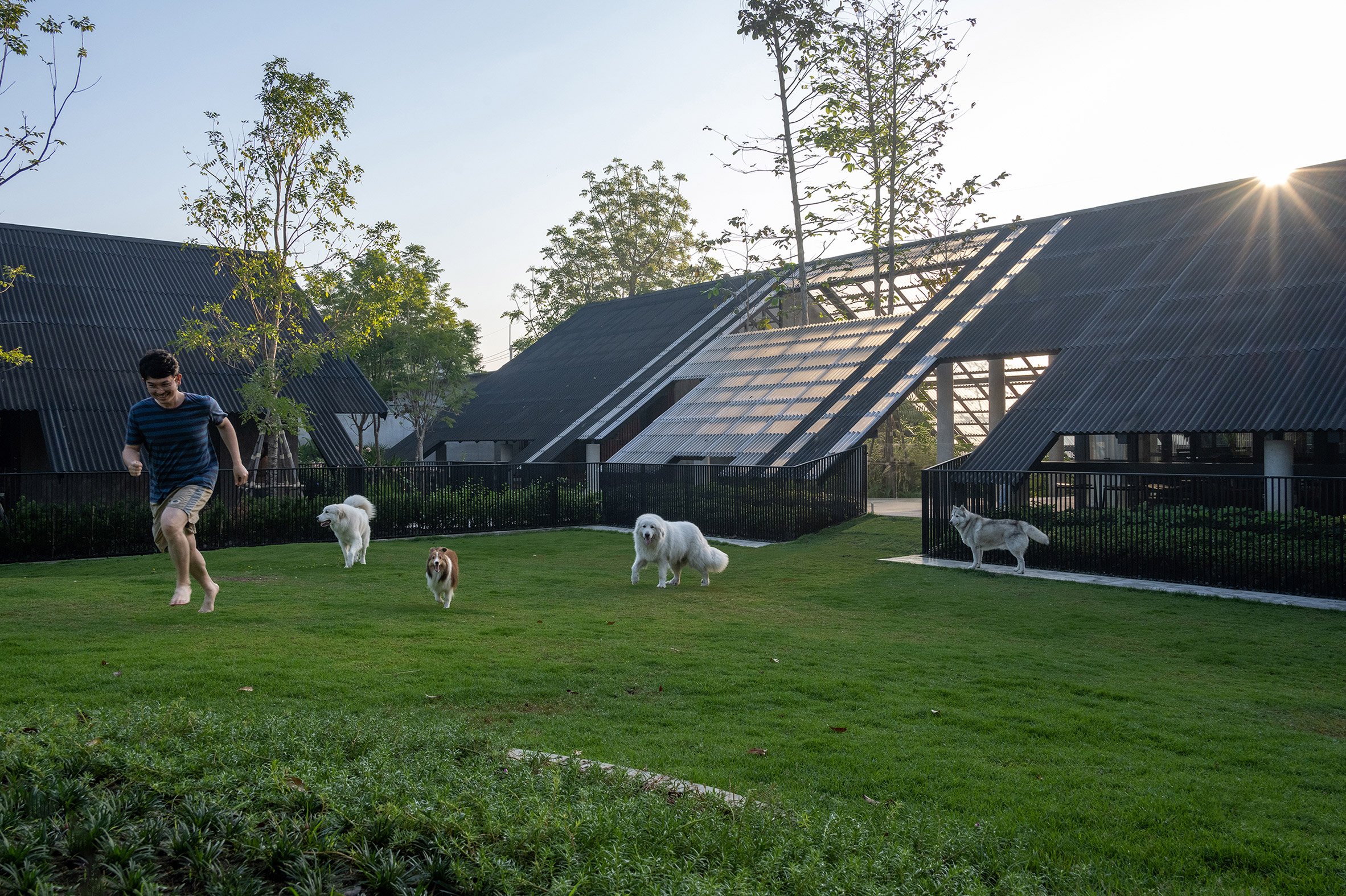 Low-span corrugated roofs rest on concrete columns in EKAR Architects' dog hotel