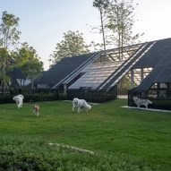 EKAR combines home in Thailand with hotel and activity spaces for dogs