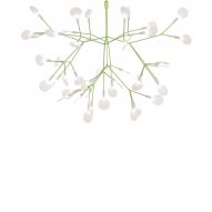 Green Heracleum Suspended light
